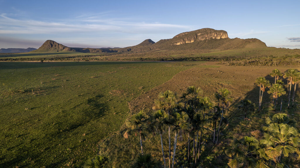 Morro da Baleia Panorâmica